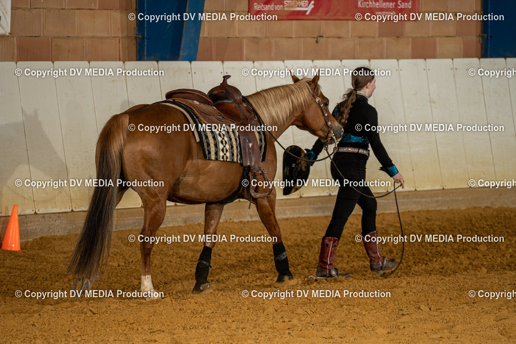 MIT00878 | dv-media-shop - Realisiert mit Pictrs.com