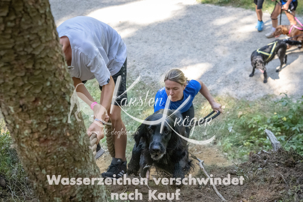 1215_ZZ93716 | kk-dogfotos