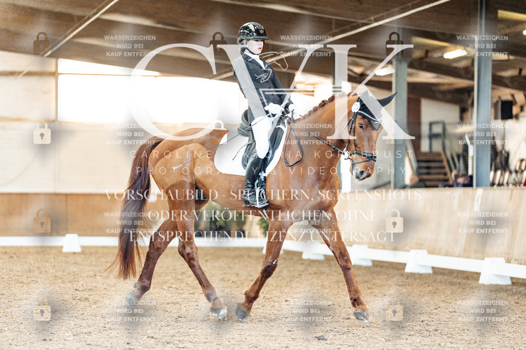 CK908675 | Turnierfotografie Pferdefotografie Trier Rheinland-Pfalz Pferdesport Reitsport Tierfotografie Sportfotografie Pferdevideo Pferdevideografie Equestrianvideography equestrianphotography  - Realisiert mit Pictrs.com