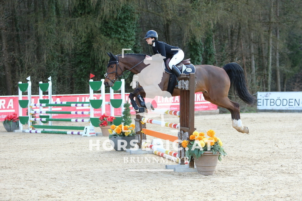 DL2Q0565 | Willkommen bei Brunnmayr - Design & Fotografie – Ihrem Spezialisten für Reitturniere und Pferdeveranstaltungen in Oberösterreich, Salzburg und Bayern! Seit über 17 Jahren sind wir leidenschaftlich dabei.