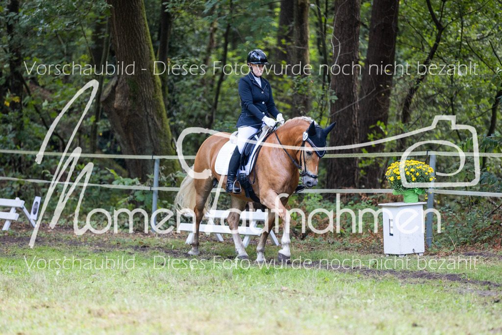 HB-Dressur-WB-056 | MomenTaufnahmen Pferdesportfotos