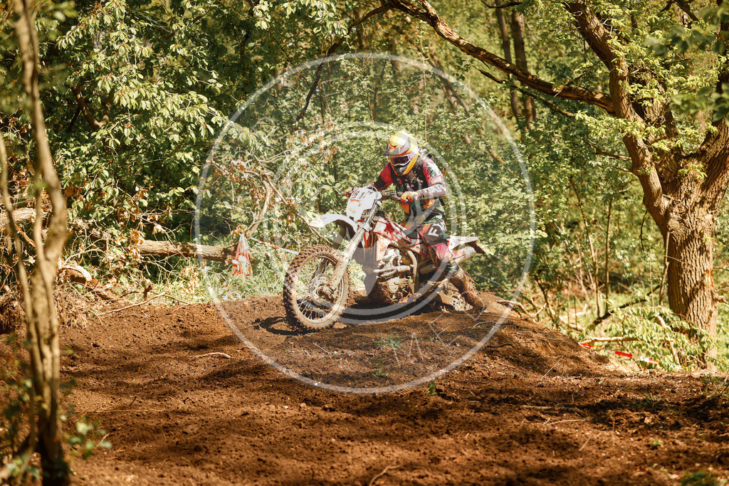 RottlebenIGE25_Lauf2-193 | koppe-media