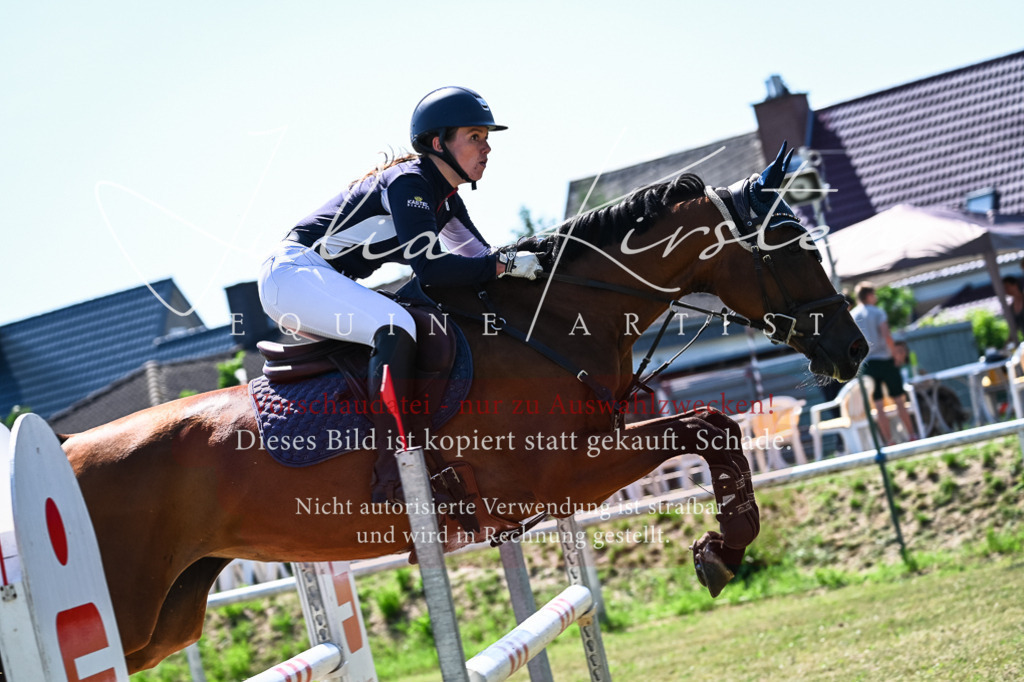 DSC_1367 | Pferde- und Turnierfotografie in Westsachsen. Pferdeportraits, Auftragszeichnungen und intuitive Kunst.