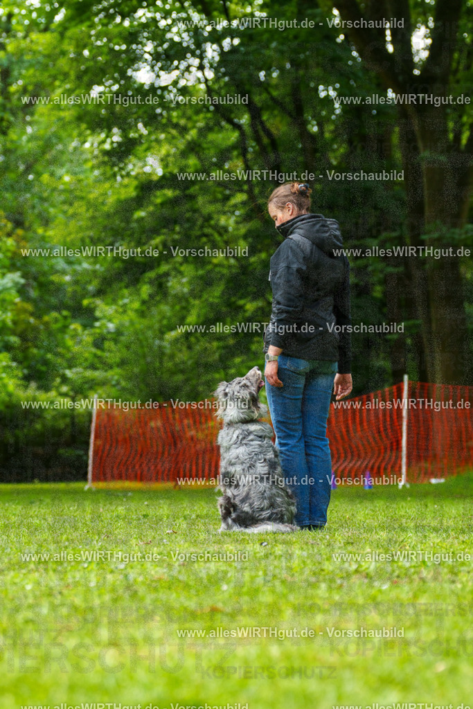@allesWIRTHgut_Tierfotografie - www.allesWIRTHgut.de - 7R502027 | Professionelle Tierfotografie in Mönchengladbach von Daniel Wirth (allesWIRTHgut). Liebevolle & natürliche Bilder von Hunden & Katzen für unvergessliche Erinnerungen.