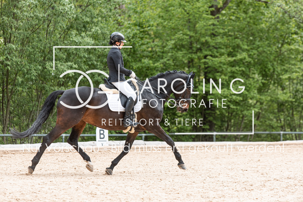 DSC_3028 | Turnierfotografin Carolin Gieschke, Turnierfotografie Carolin G Fotografie, Turnierfotos Kirchheim/Teck, Esslingen, Stuttgart, Bodenseekreis