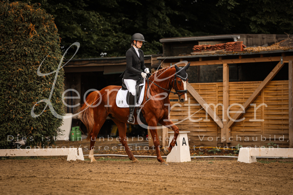 17.SoDrL00398 | Leoni Ertmer Photography - Realisiert mit Pictrs.com