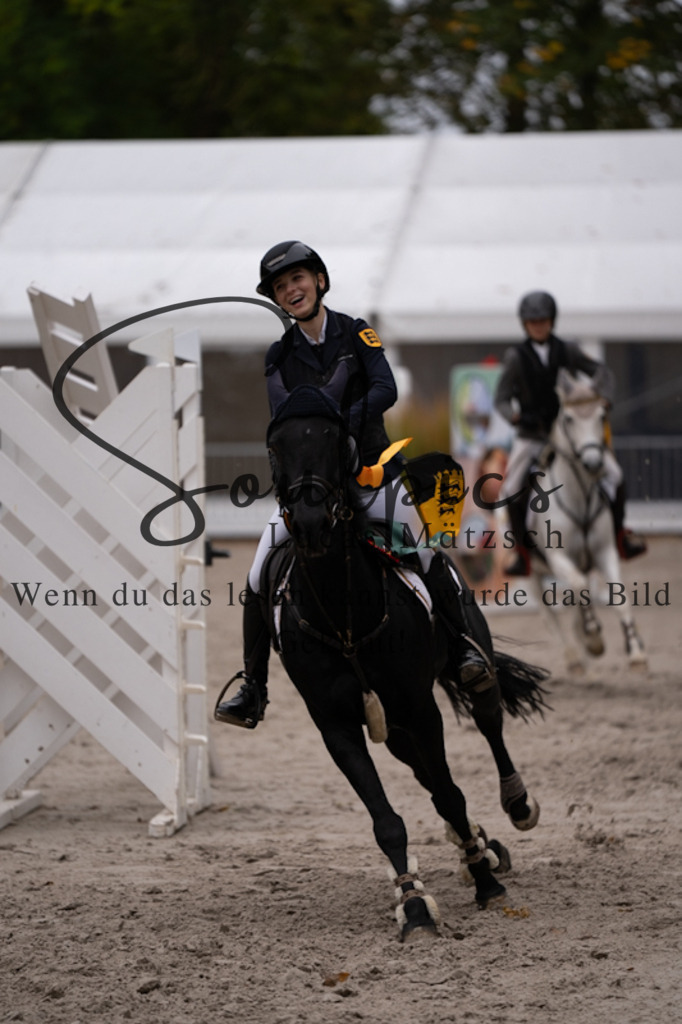 A7V09248 | Pferdefotograf