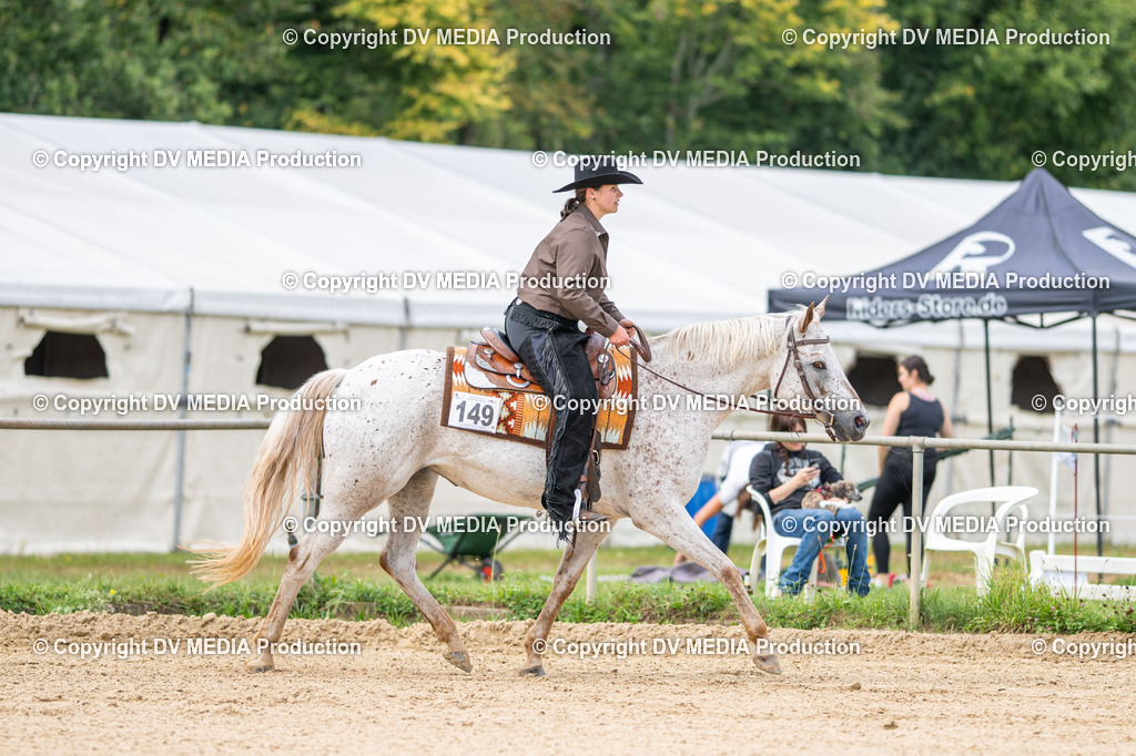 LM Heiligenwald Tag 3-2083 | dv-media-shop - Realisiert mit Pictrs.com