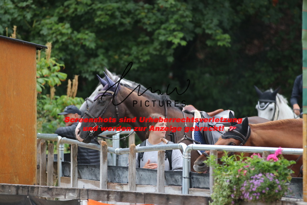 IMG_8424 | lmwpictures - Realisiert mit Pictrs.com