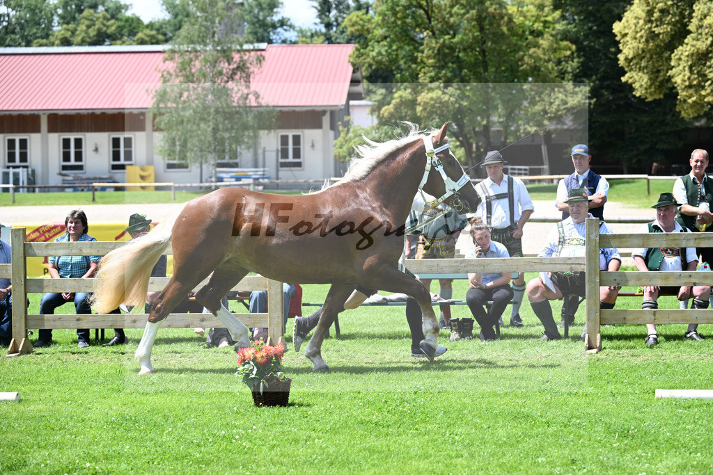 Kat-Nr. 44 Olympia v. Jupiter_Schaeffler_22240774 | hf-fotografie - Realisiert mit Pictrs.com