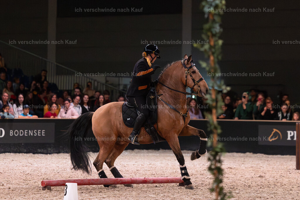 JoseraCup-216 | working equitationturnier fotograf videograf stoibphotography marixx film working equitation deutschland reitsport turnierfotografie eventfotografie equestrian events