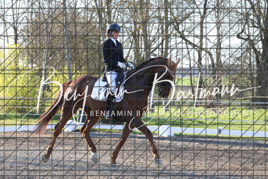 AZ2A5597 | Benjamin Bartmann Photomoments