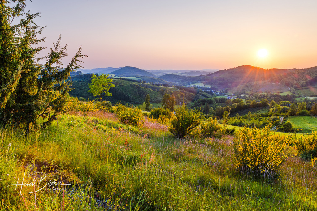 Abendstimmung im NSG auf der Sommerseite 1 | Bilder und Impressionen zu jeder Jahreszeit aus dem Sauerland im Naturpark Sauerland-Rothaargebirge - Realisiert mit Pictrs.com