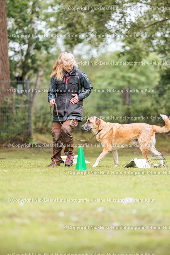 RO-Blumenthal-2026-Nickbest-Hundefotografie-1903 | Dein Hund! Dein Moment! Deine Erinnerungen! Hundefotografie in Bremen Blumenthal. Ich fange die besonderen Momente deines Vierbeiners ein – ob Indoor mit Blitzanlage oder in der freien Natur. Sicher dir dein Moment und dein Termin für eure Erinnerungen.