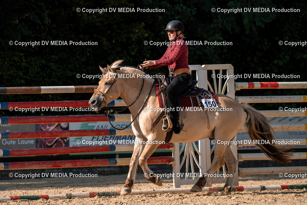 ZH100815 | dv-media-shop - Realisiert mit Pictrs.com