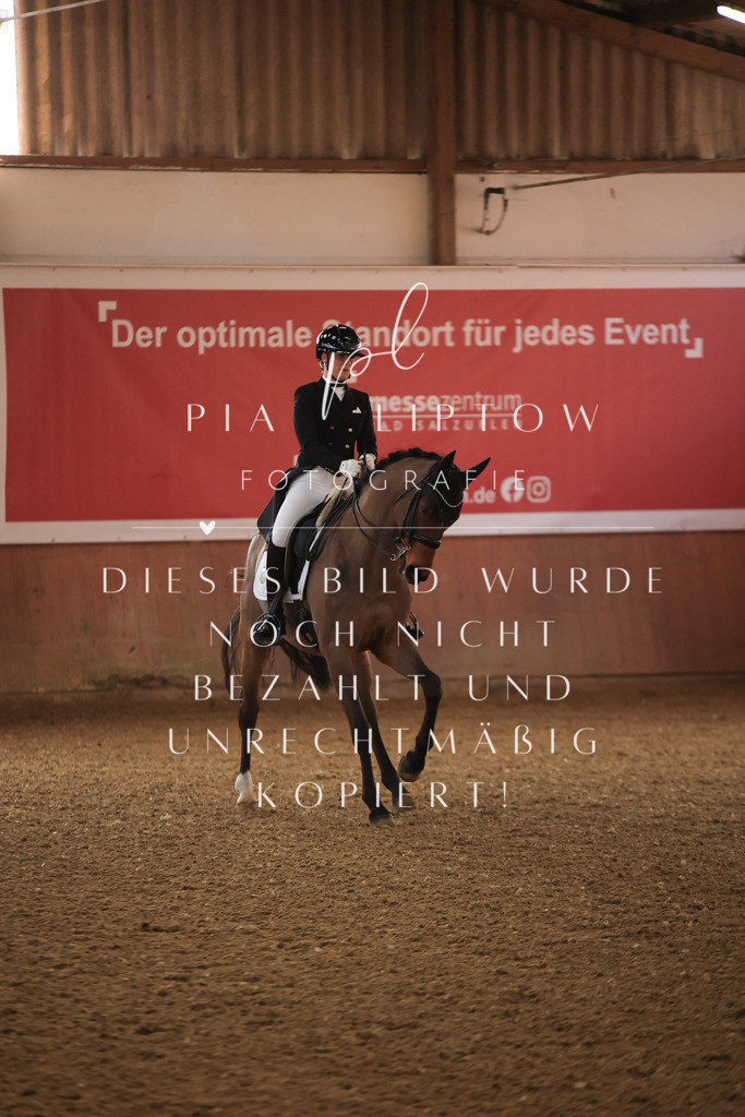 IMGT4237 | pl-fotografie