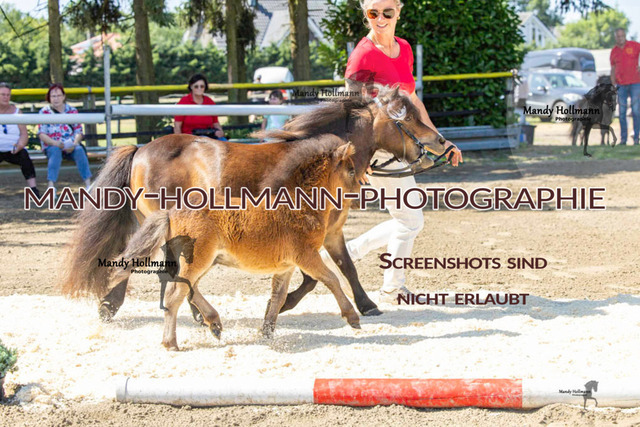 _MG_0503 | mandyhollmannphotographie