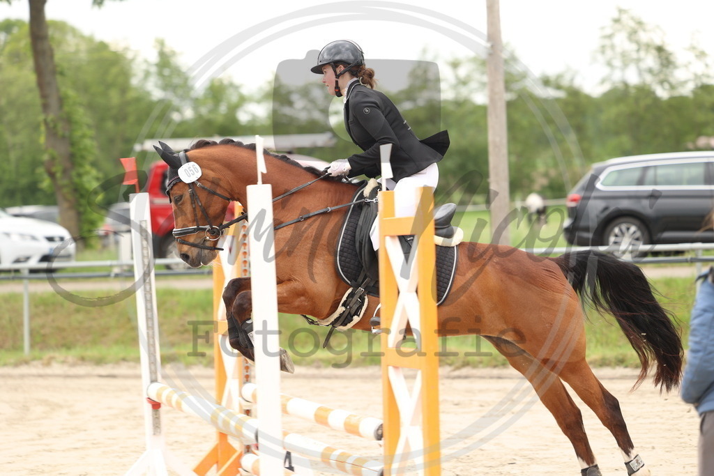 994A8812 | sabrinanicolaifotografie - Realisiert mit Pictrs.com