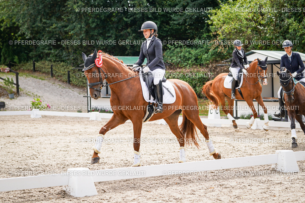 DSC02405 | Pferdegrafie