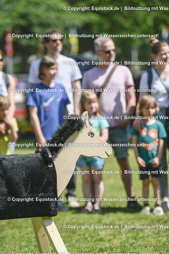 D78_3590 | equistock