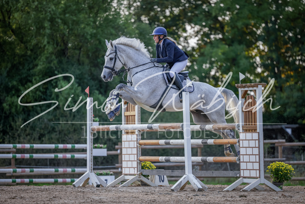 20251012-_3LI5831 | Tierfotografie Pferde, Hunde, Katzen, Haustiere.
Turnierfotografie Reitturniere, Reiten, Springreiten, Dressur in Hanau, dem Main-Kinzig-Kreis und dem Rhein-Main- Gebiet um Frankfurt