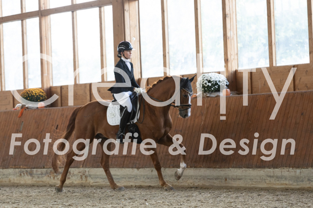 IMG_2173 | Creatify Fotografie