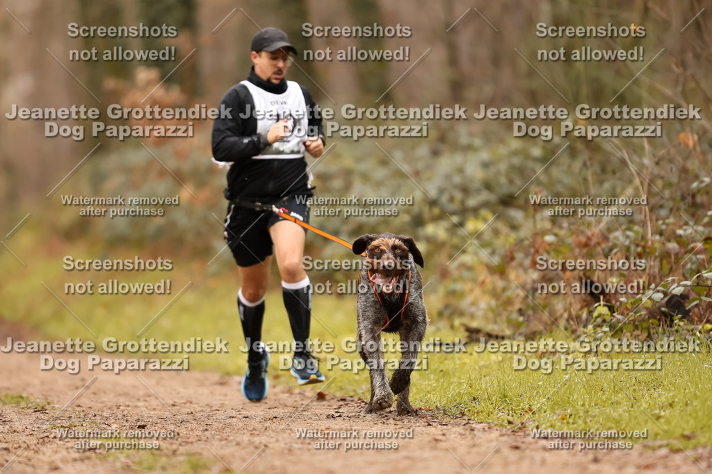 Dog Paparazzi - Speedhunter Mannheim  2025-207 | Dog Paparazzi Jeanette Grottendiek Fotografie & Videografie