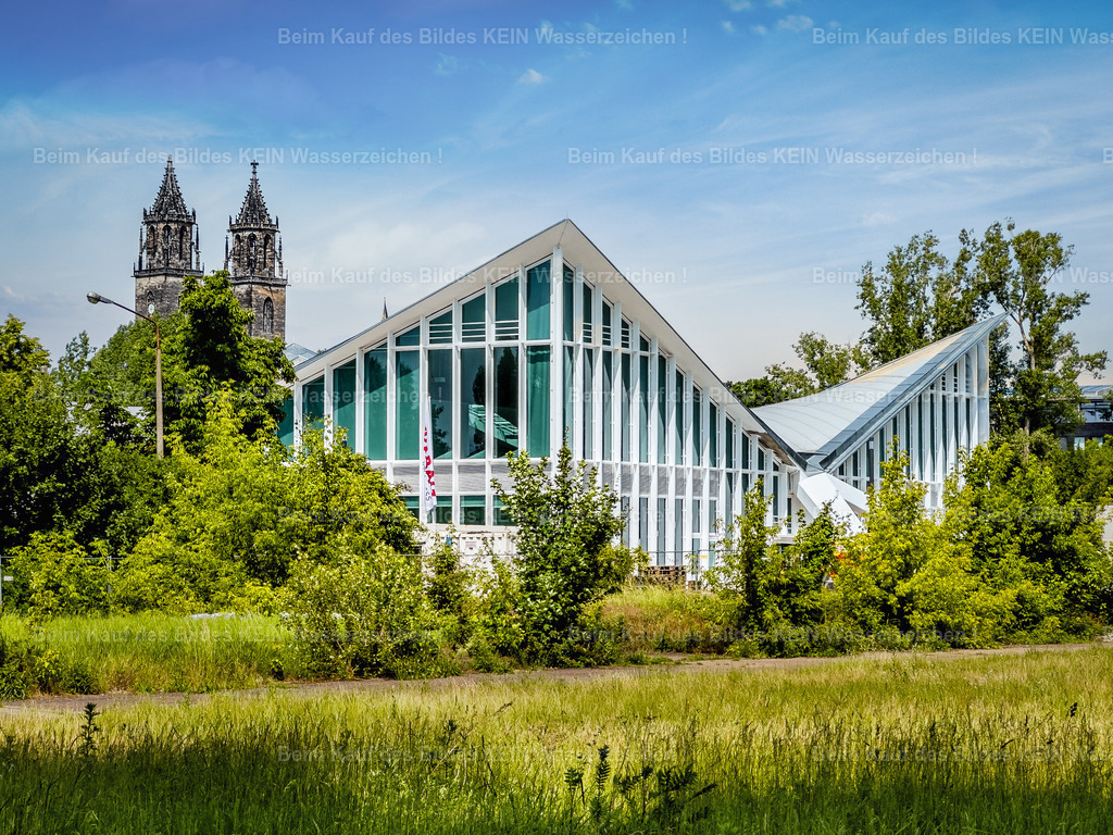 Magdeburg neue Hyparschale 2024 im Rothehornpark-5886 | Hyparschale - Realisiert mit Pictrs.com