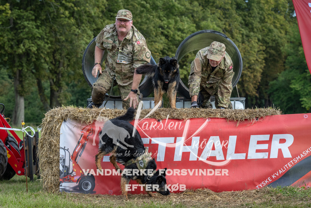 1318_ZZ92936 | kk-dogfotos