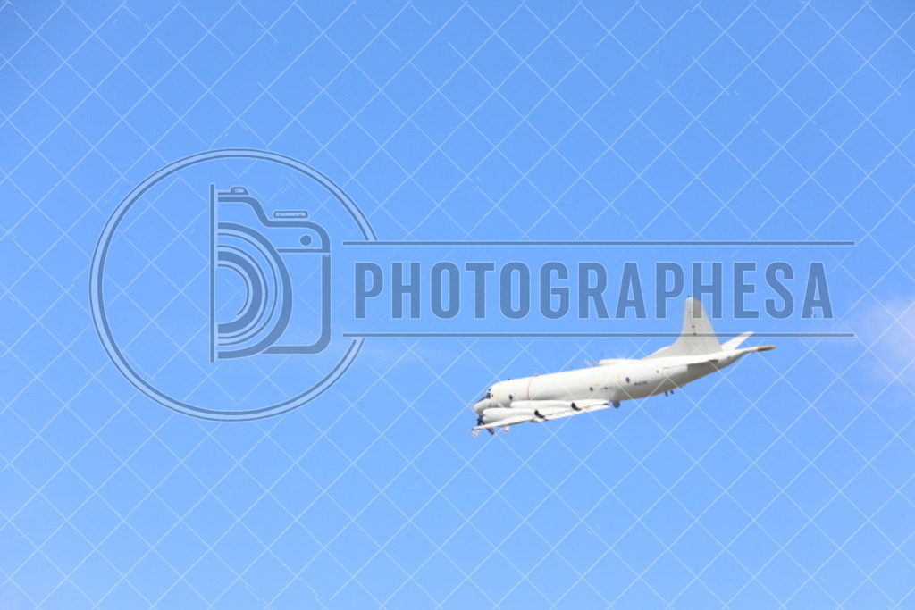 IMG_8803 | photographesa-joergens - Realisiert mit Pictrs.com