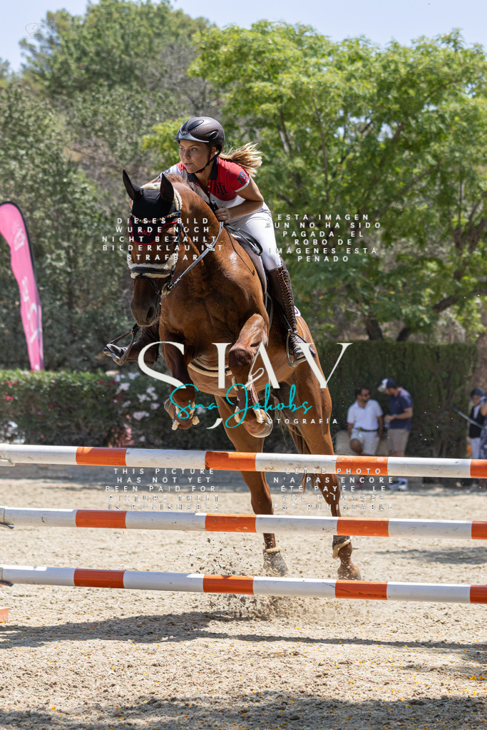 IMG_6509 | s-jay-photography - Realisiert mit Pictrs.com