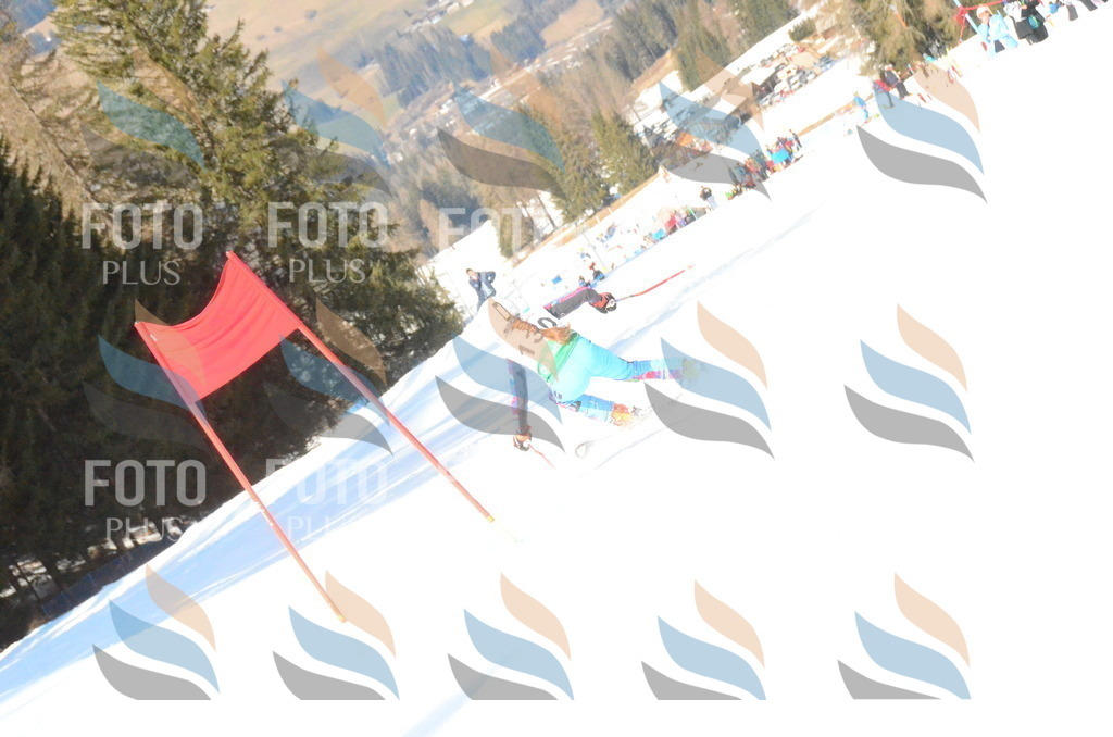 C8041 | holidayphoto