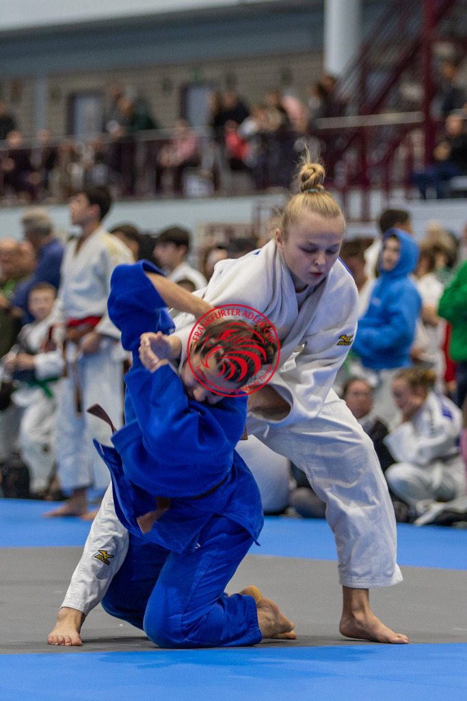 Internationaler Adler Cup 2024 | Foto vom Internationalen Adler Cup Judo Turnier im Sport- und Freizeitzentrum Kalbach im Oktober 2024 - Realisiert mit Pictrs.com