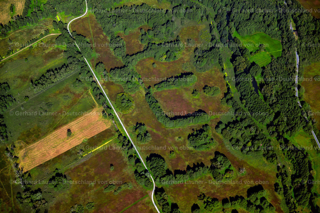 3637195 | LEHDE 25.08.2016 Forstgebiete in einem Waldgebiet in Lehde im Spreewald im Bundesland Brandenburg, Deutschland. // Forest areas in in Lehde at Spreewald in the state Brandenburg, Germany. Foto: Gerhard Launer