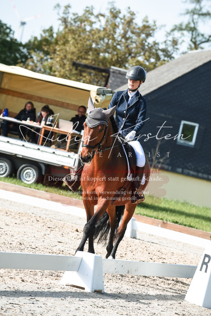20230518_JK-Röhrsdorf-09-0858 | Pferde- und Turnierfotografie in Westsachsen. Pferdeportraits, Auftragszeichnungen und intuitive Kunst.