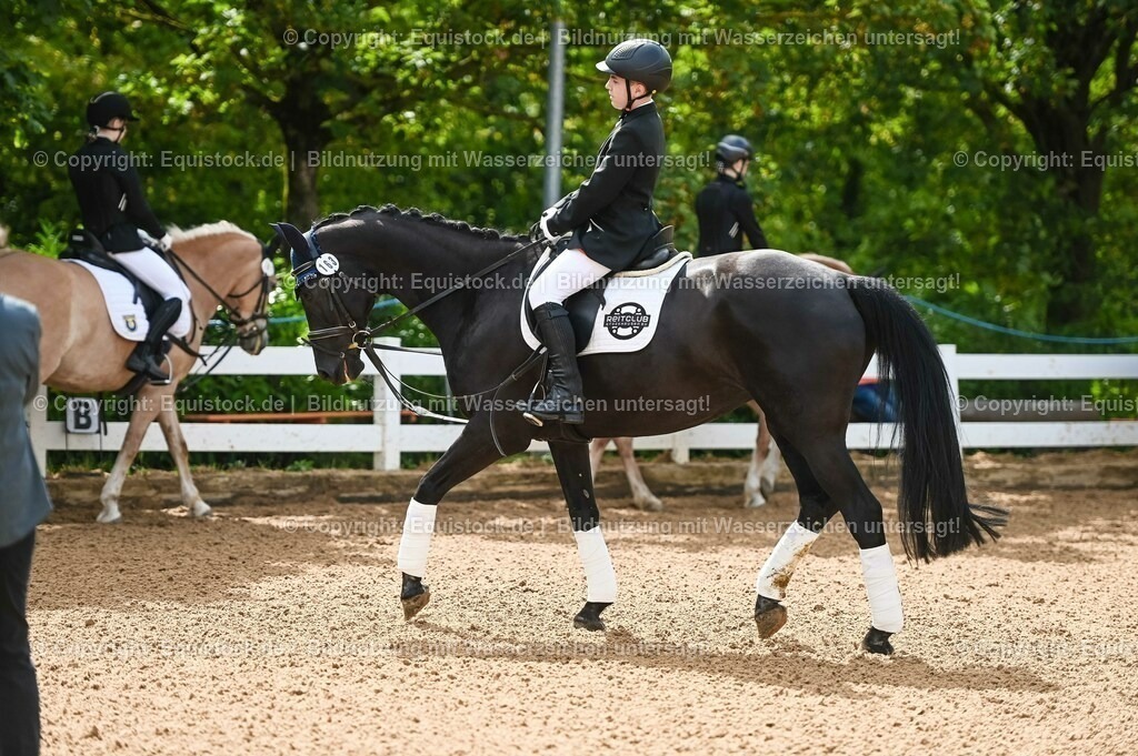 20230716_10-1_Reiter-WB Schritt - Trab - Galopp_0137 | equistock