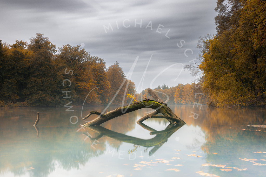 2023-10-20 Herbst Stuttgart Baerensee 007 | Schwotte Media - Realisiert mit Pictrs.com