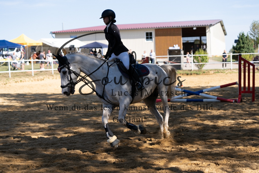 A7V02273 | Pferdefotograf