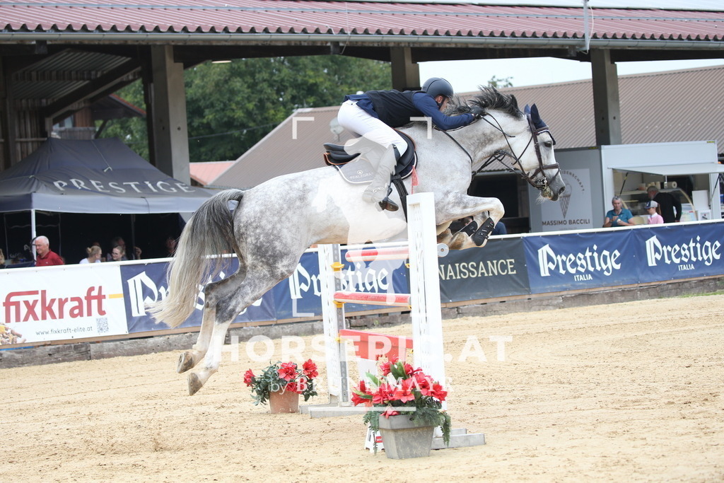 DL2Q8078 | Willkommen bei Brunnmayr - Design & Fotografie – Ihrem Spezialisten für Reitturniere und Pferdeveranstaltungen in Oberösterreich, Salzburg und Bayern! Seit über 17 Jahren sind wir leidenschaftlich dabei.