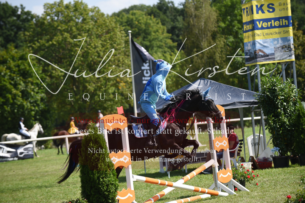 DSC_0220 | Pferde- und Turnierfotografie in Westsachsen. Pferdeportraits, Auftragszeichnungen und intuitive Kunst.