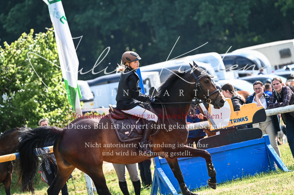 DSC_7979 | Pferde- und Turnierfotografie in Westsachsen. Pferdeportraits, Auftragszeichnungen und intuitive Kunst.