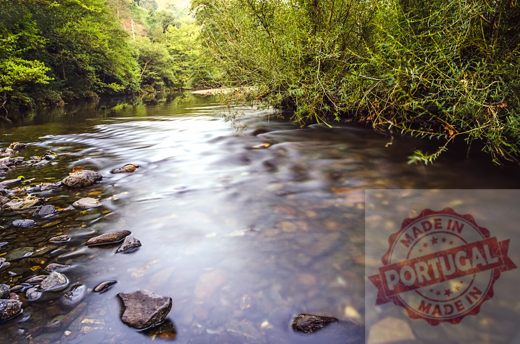 Clean river flowing through green forest | Crystal clear water flowing on a rocky riverbed in a green forest - Realized with Pictrs.com