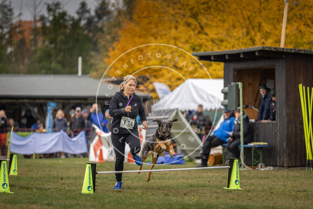 Pfotenfotografie_DV3A5401 | Hundefotografie, Tierfotograf, Pfotenfotografie, Fotoshooting Hund, Hunde Portrait, Hundesport, Hundeportraits, Heideshooting, Hunde, Sportfotograf, Hundefotograf, Turnierhundsport, THS,  - Realisiert mit Pictrs.com