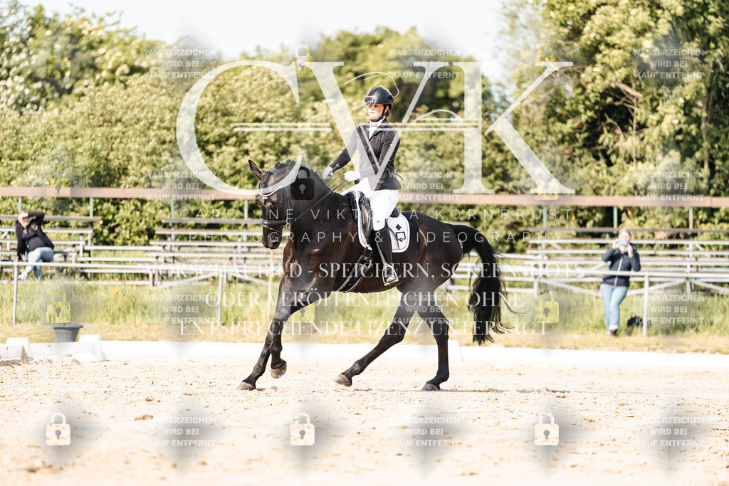 CK900225 | Turnierfotografie Pferdefotografie Trier Rheinland-Pfalz Pferdesport Reitsport Tierfotografie Sportfotografie Pferdevideo Pferdevideografie Equestrianvideography equestrianphotography  - Realisiert mit Pictrs.com