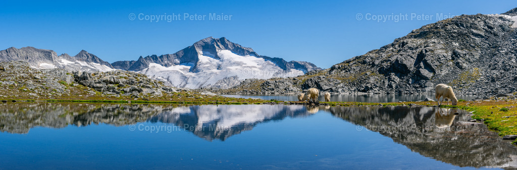 Schwarzhornsee-2480-Pano | piet_flosse