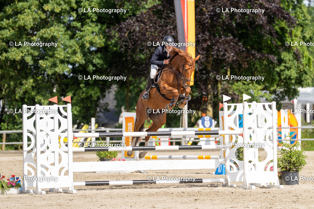 DSC06353 | Entdecke einzigartige Turnierfotos und persönliche Pferde- und Hundeportraits bei LA Photography. Für jeden Reiter und Pferd das perfekte Bild! Stöbere jetzt! - Realisiert mit Pictrs.com