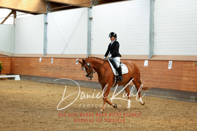 _62_4791 | Turniersportfotografie; Pferdefotografie; Dressurfotografie