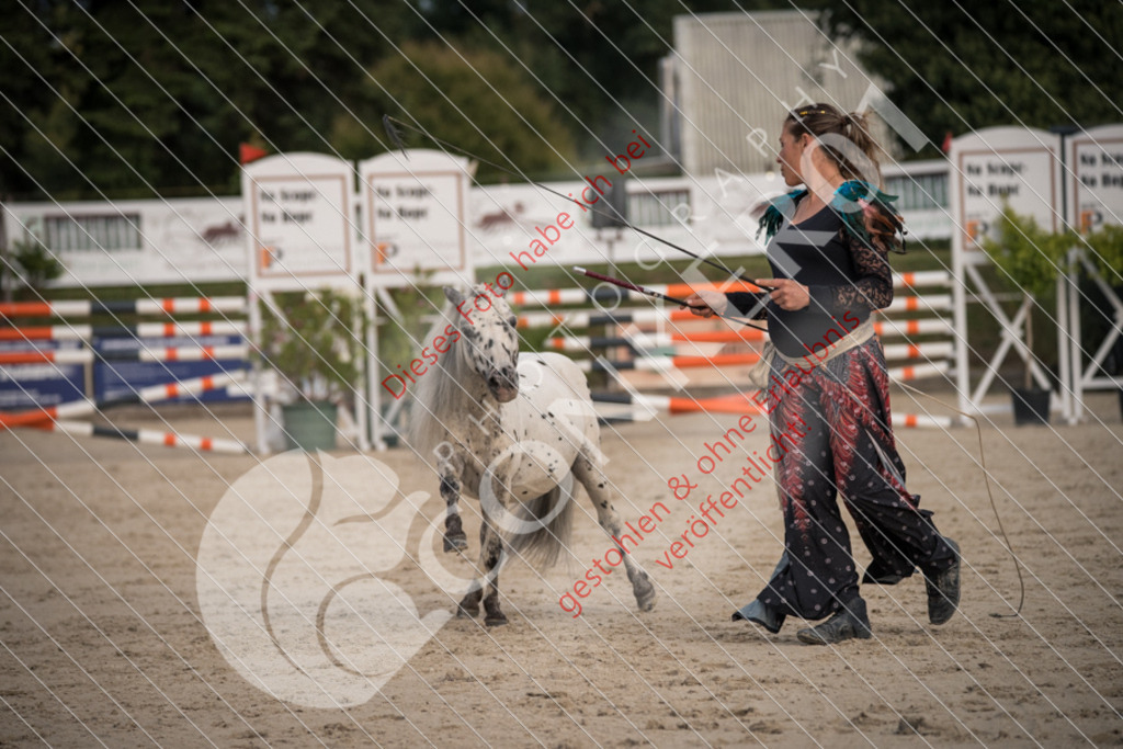DSC_9978 | Sport-, Event- und Tierfotos in Profiqualität. Einfach auswählen, bestellen und herunterladen. Dein Moment – perfekt festgehalten.