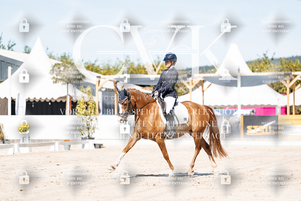 CK909145 | Turnierfotografie Pferdefotografie Trier Rheinland-Pfalz Pferdesport Reitsport Tierfotografie Sportfotografie Pferdevideo Pferdevideografie Equestrianvideography equestrianphotography  - Realisiert mit Pictrs.com