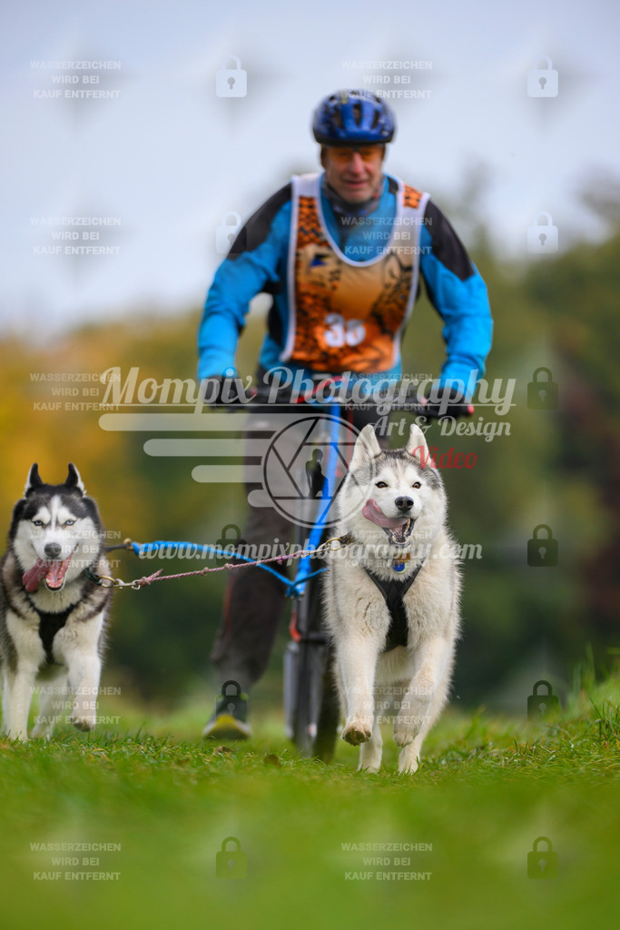 MompixPhotography_CDLBDB2025_DI_DS-33 | PayLife